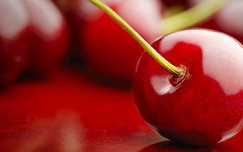 Cherry, Macro, Branch, Berry, Ripe HD wallpaper