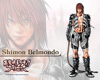shimon, belmondo HD wallpaper