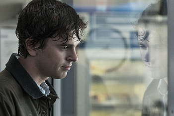 The Good Doctor, Top backgrounds, Medical drama, collection HD wallpaper