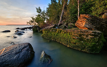 Nature, Water, Trees, Rocks, Shore, Bank, Moss HD wallpaper