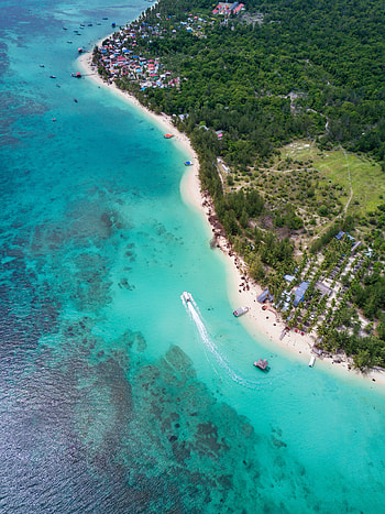Nature, Trees, Sea, Beach, View From Above, Coast HD phone wallpaper