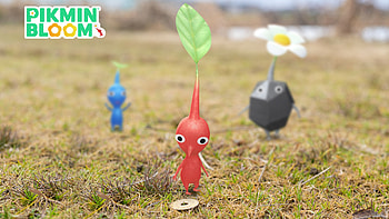Pikmin Bloom — Meadow Trio, Pikmin HD wallpaper