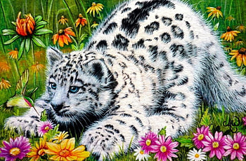 snow leopard, cats, flowers, leopard, animals HD wallpaper