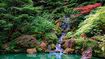 Water cascades in park, plants, beautiful, spring, stones, summer, reflection, trees, cascades, waterfall, greenery, flowers, water, forest, pond HD wallpaper