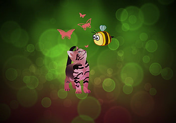 spring joy, minimalism, cat, abstract, spring HD wallpaper