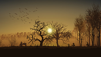 Farmers Village Morning , farmer, minimalism, minimalist, artist, artwork, digital-art HD wallpaper