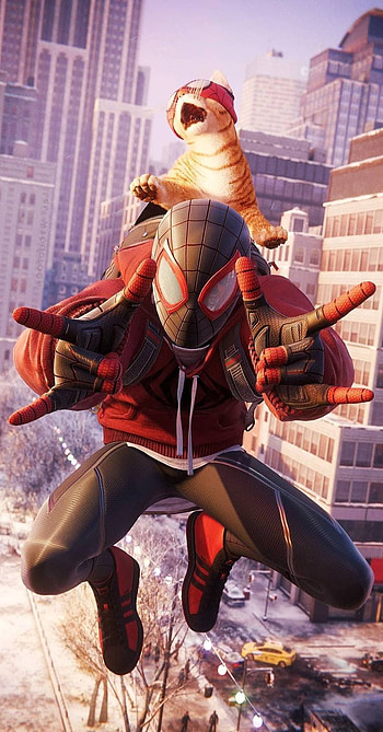 Spiderman_spidey.cat, sunglasses, art HD phone wallpaper