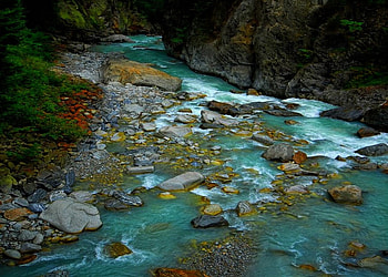 Turquoise, trees, river, wonderful, mountains HD wallpaper