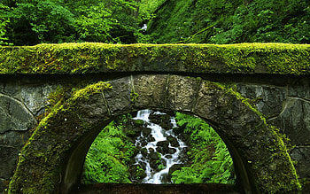 Bridge HD wallpaper