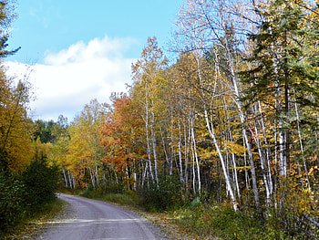 Fall Forest Road, graphy, Forest, Fall, Road, Nature, Clouds, Sky HD wallpaper