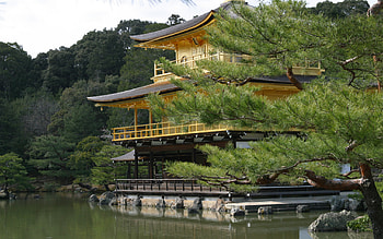 Building, Japan HD wallpaper