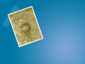 foto HD wallpaper