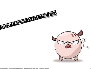 Pigs HD wallpaper