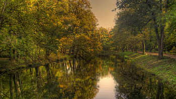 by the waterways, river, sky, green, tree HD wallpaper