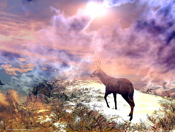ಌ.Christmas Higher of Deer.ಌ, winter, glow, festival, colors, wonderful, shining, gorgerous, animals, snow, trees, adorable, cloud, sunshine, cold, miracle, magnificent, grass, fantasy, deer, smoke, nature, blue, colorful, frosty, spark, christmas higher of deer, xmas, holiday, abstract, shine, sparkle, amazing, winter time, greeting, magic, splendidly, seasons, celebration, pink, christmas, cool, sky, splendor HD wallpaper