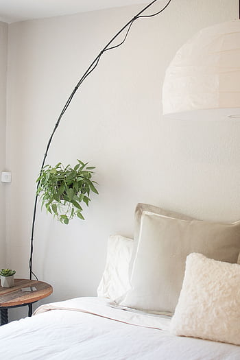 Bright minimalist bedroom with cozy pillows and hanging houseplants, ideal for relaxation. HD phone wallpaper