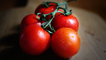 Tomatoes, fruit, graphy, food HD wallpaper