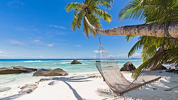 Seychelles Beach, sea, sand, sky, rocks, hammock, palm trees HD wallpaper