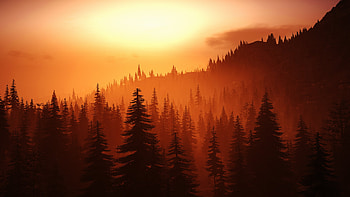 Tom Clancys Ghost Recon Wildlands Nature, tom-clancys-ghost-recon-wildlands, 2019-games, games, xbox-games, ps4-games HD wallpaper