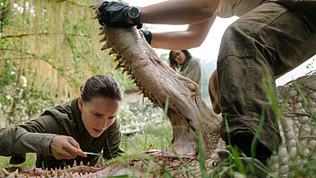 Annihilation, Psychological thriller, Surreal narrative HD wallpaper