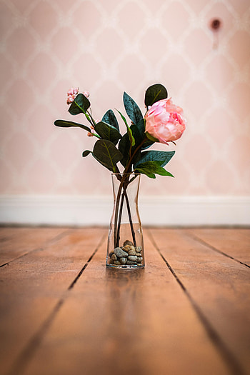 Flowers, Pink, Flower, Rose Flower, Rose, Bouquet, Vase HD phone wallpaper