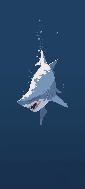Great White Shark Oceanic, Animal HD phone wallpaper