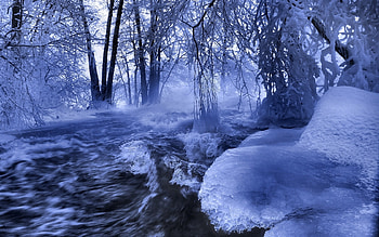 Landscape, Winter, Nature, Rivers, Trees HD wallpaper