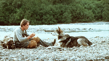 White Fang (Movie), White Fang 1991, Movie database HD wallpaper