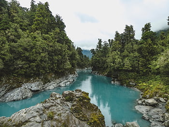 Discover the peaceful Kokatahi River flowing through dense forest in West Coast, New Zealand. HD wallpaper