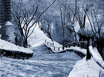 Winter, path HD wallpaper