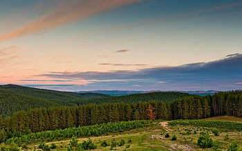 Nature, Trees, Sky, Mountains, Forest, Outskirts, Ease, Edge HD wallpaper