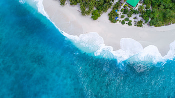Nature, Palms, View From Above, Ocean, Tropics, Maldives HD wallpaper