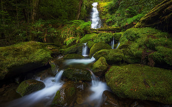 Waterfall, water, forest, stream HD wallpaper