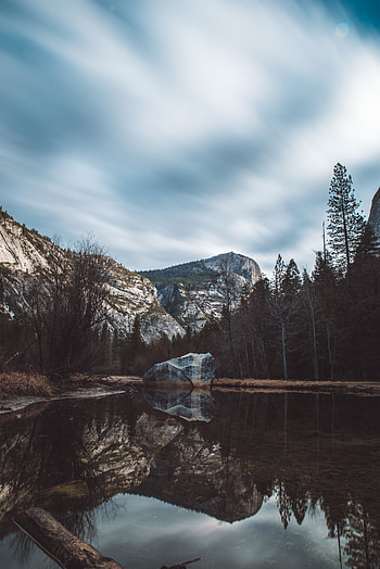Nature, Trees, Stones, Rocks, Lake HD phone wallpaper