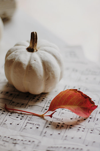 Music, Autumn, Pumpkin, Miscellanea, Miscellaneous, Sheet, Leaf, Notes HD phone wallpaper