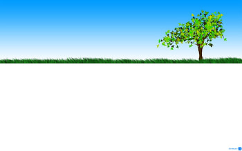 Summer, grass, sky, tree HD wallpaper