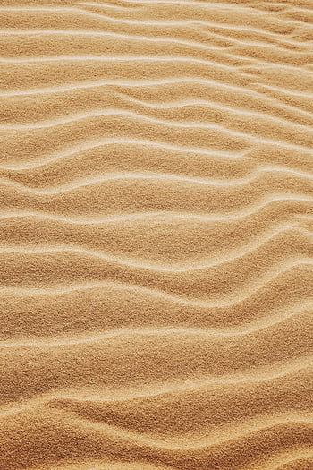 Golden sand dunes showcasing wavy textures under bright sunlight, capturing natural beauty. HD phone wallpaper