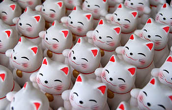 Cats, Background HD wallpaper