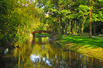 Nature, Rivers, Trees, Poland, Park HD wallpaper