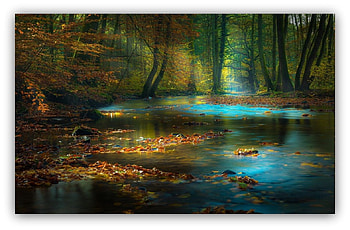blue dream, blue, natur, forests, fantasy HD wallpaper