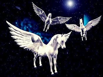 Sky Meeting, wings, horses, winged, moon, flying, pegasus, three HD wallpaper