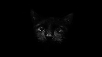 Blue And Black Backgrounds | | Pinterest | Black background , Black backgrounds and HD wallpaper