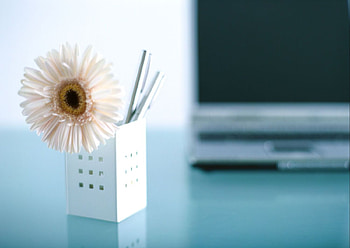 just nice, gerbera, simply, nice, flower HD wallpaper