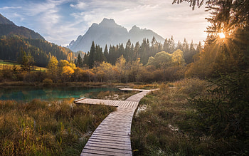 Lake Zelenci, mountain lake, evening, sunset, Ponce Mountains, autumn, forest, lake, Slovenia HD wallpaper