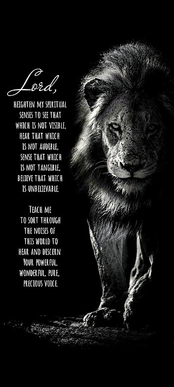 Helper, big_cats, felidae, strength, holyspirit, spiritual, scripture, lion HD phone wallpaper