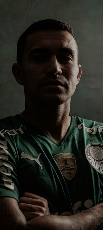 Dudu, libertadores, Palmeiras HD phone wallpaper
