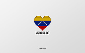 I Love Maracaibo, Venezuela cities, Day of Maracaibo, gray background, Maracaibo, Venezuela, Venezuelan flag heart, favorite cities, Love Maracaibo HD wallpaper