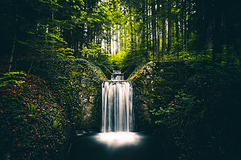 Plants, Landscape, Nature, Trees, Bush, Waterfall HD wallpaper