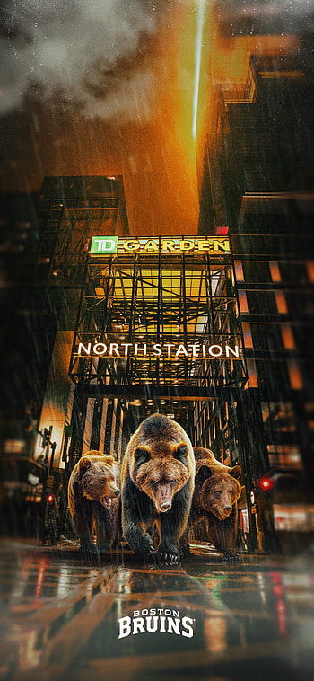 Grizzly Charge at TD Garden — Bruins HD phone wallpaper