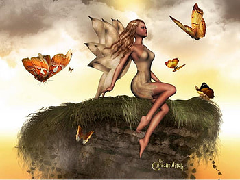 Fairy, butterflies, abstract, fantasy HD wallpaper